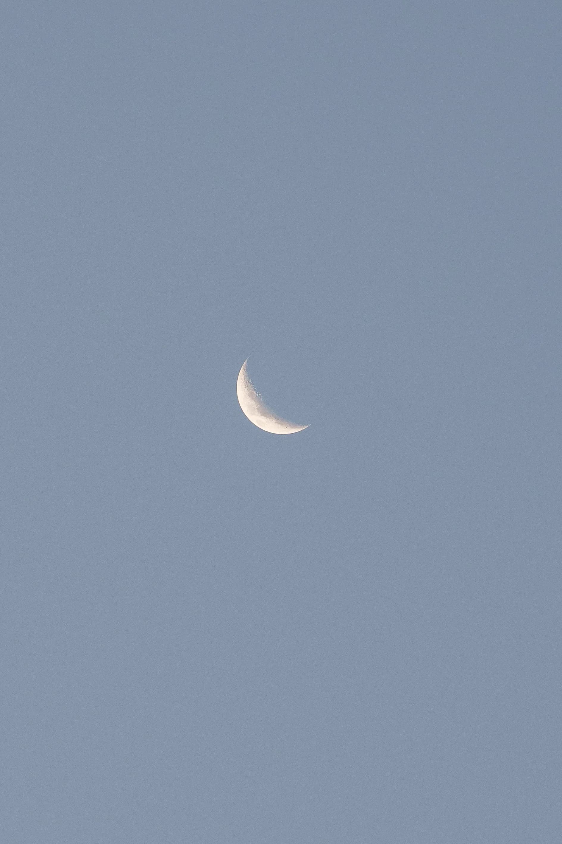 Crescent Moon in Twilight