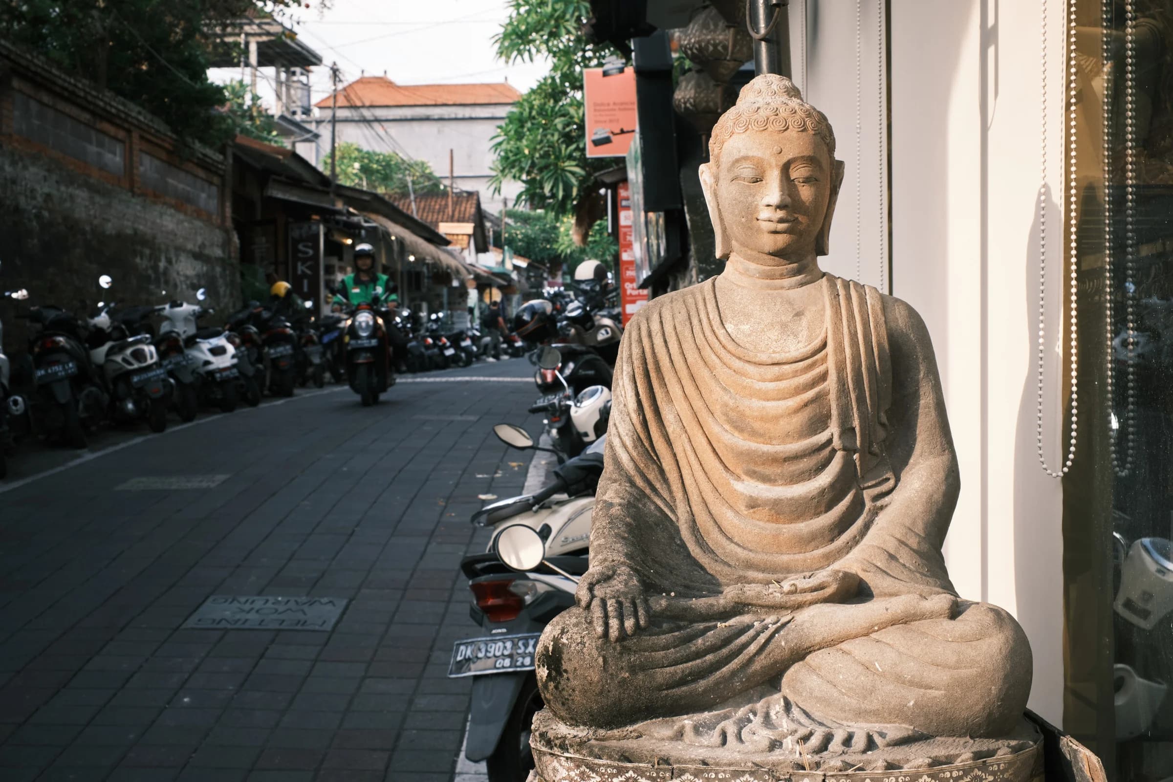 Stillness Amid the Bustle