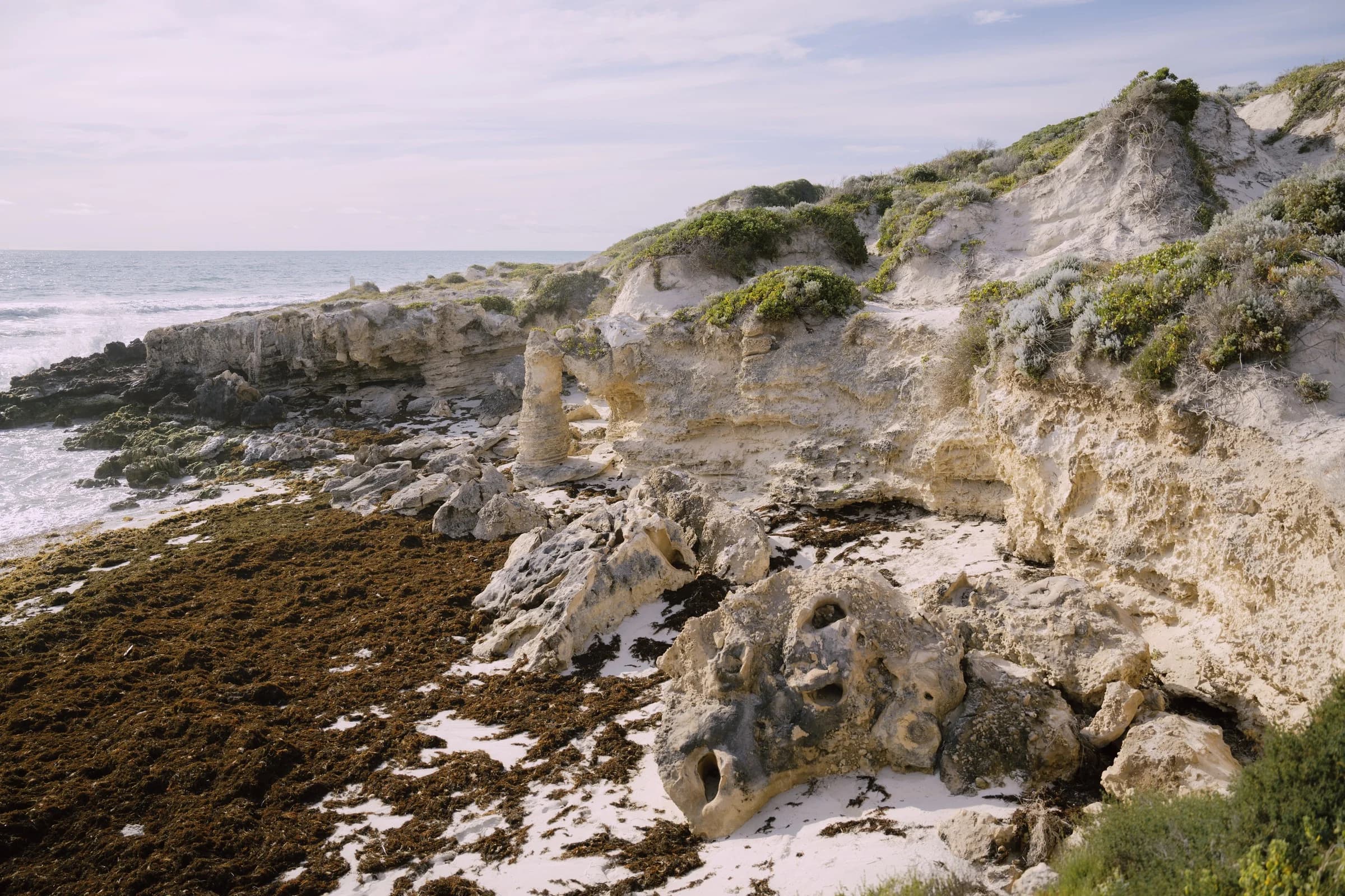 Wind-Carved Limestone Along the Coast